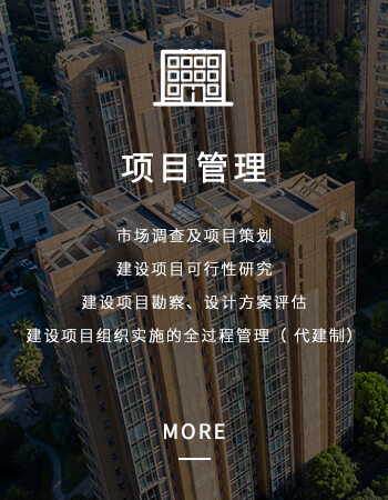 项目管理